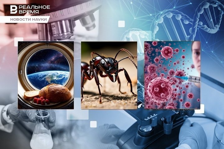 Фото: Реальное время