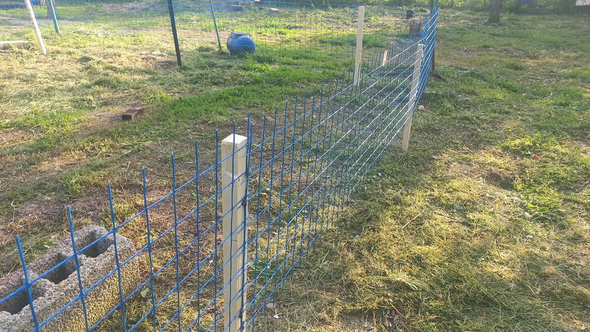 Это и другие фото в статье сделаны автором и принадлежат ему на условиях авторского права