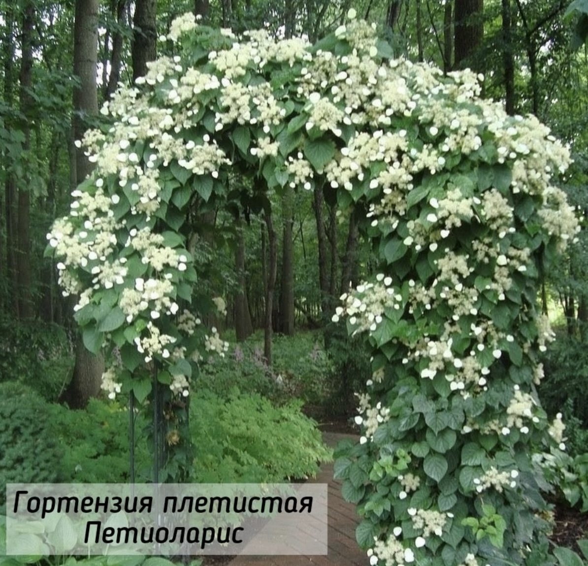 Фото из интернета. 