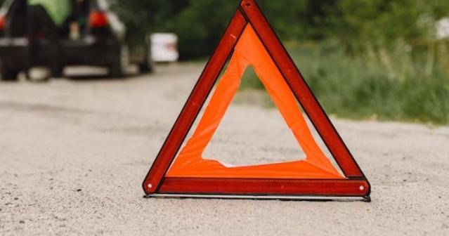    Фото: ru.freepik.com/freepik Александра Горохова