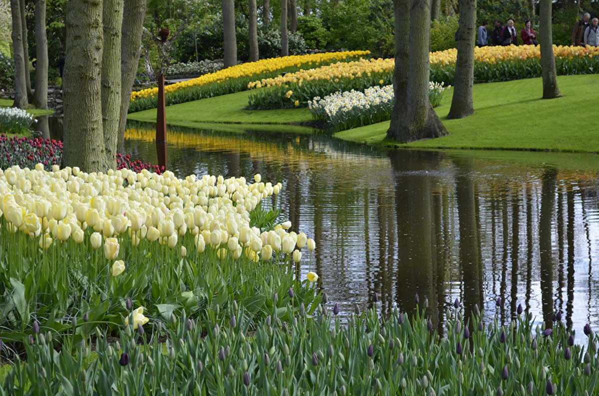 Фото из открытого источника