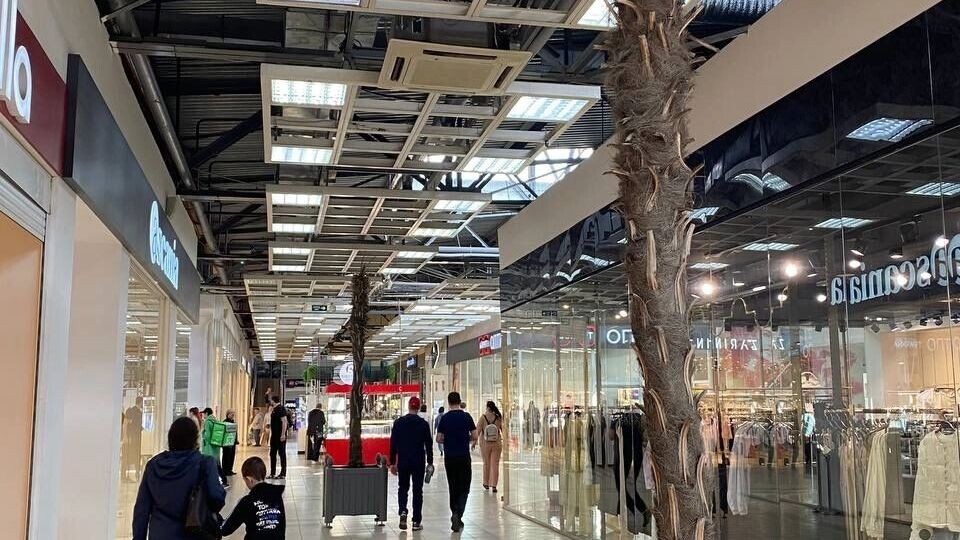     Источник: prmira.ru