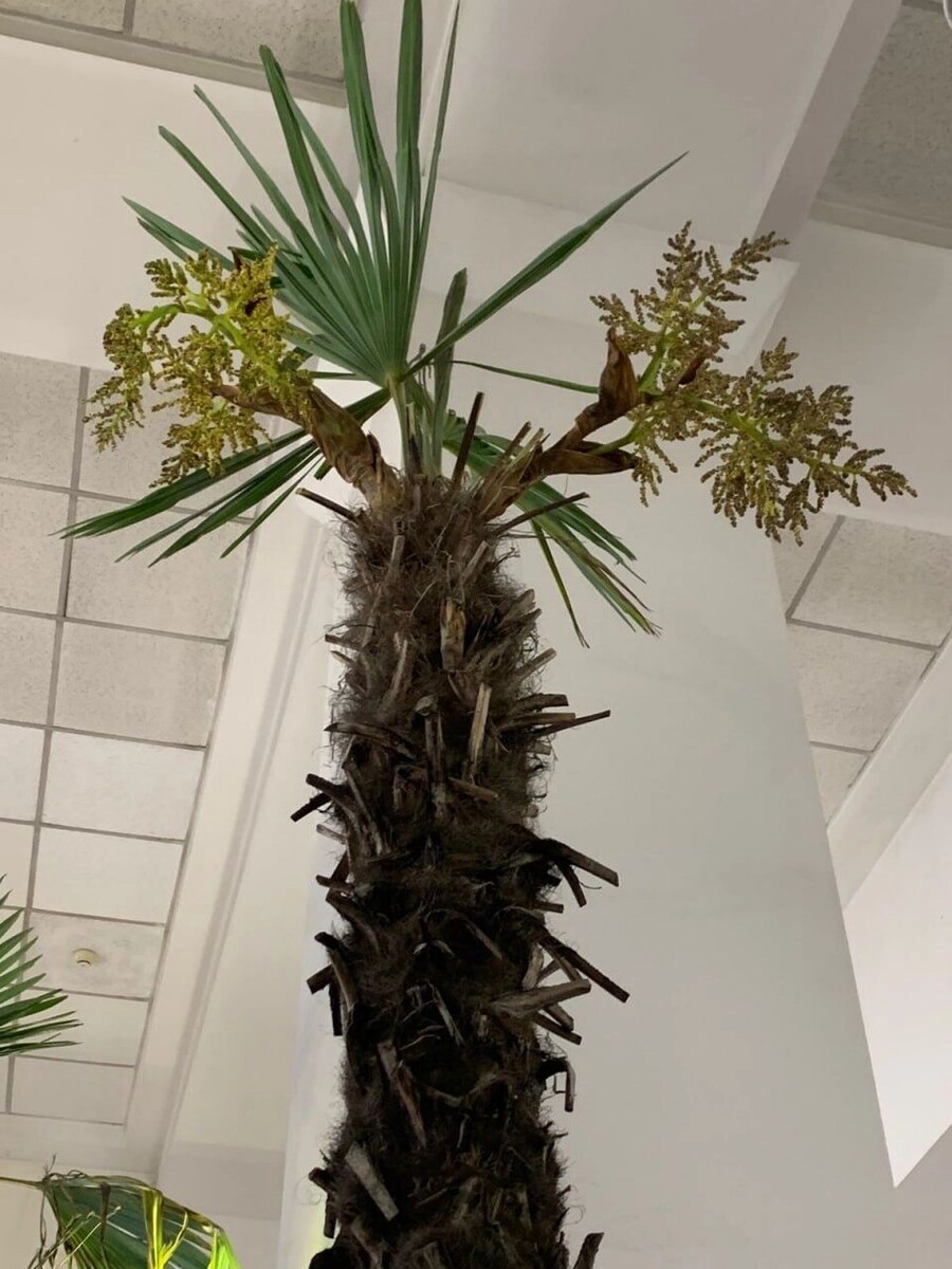     Источник: t.me/adm_krasnoyarsk