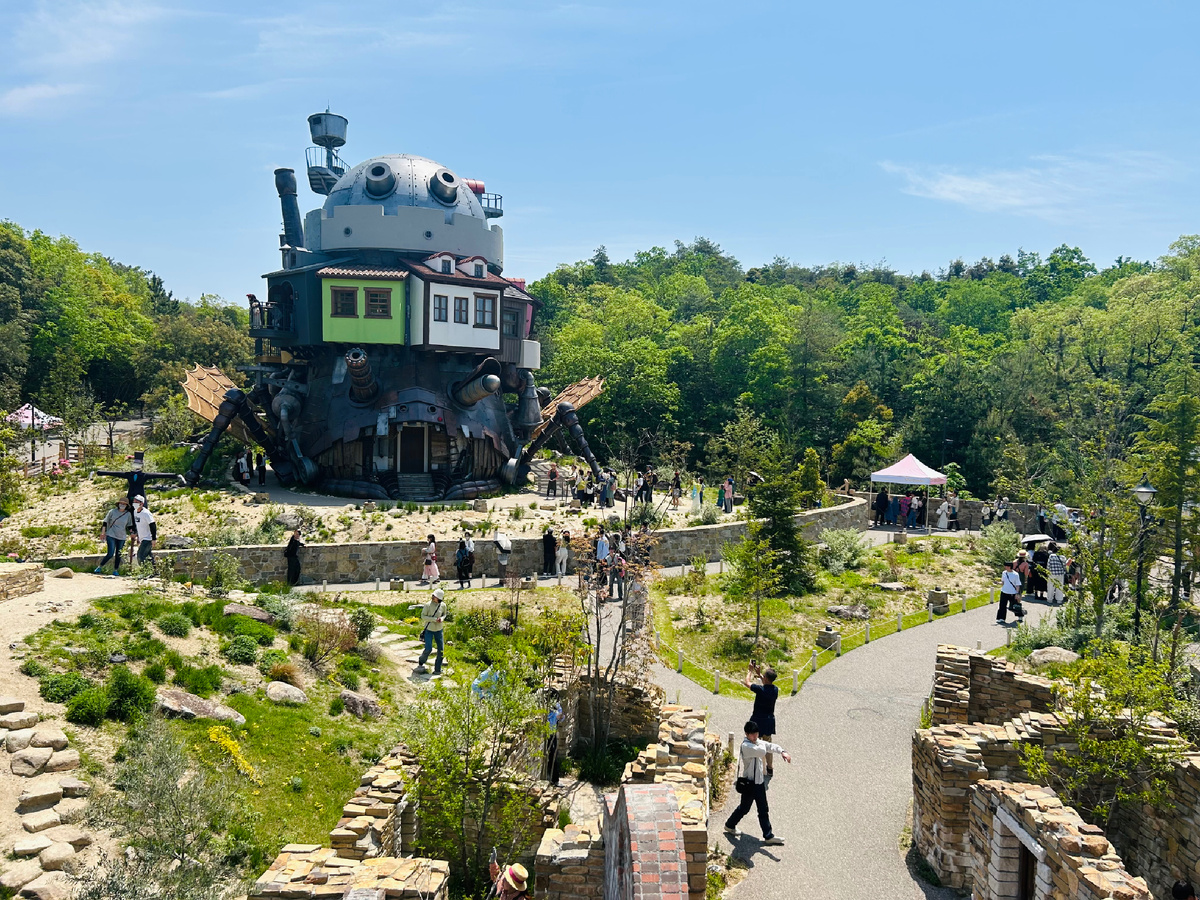 Все фото в публикации мои.