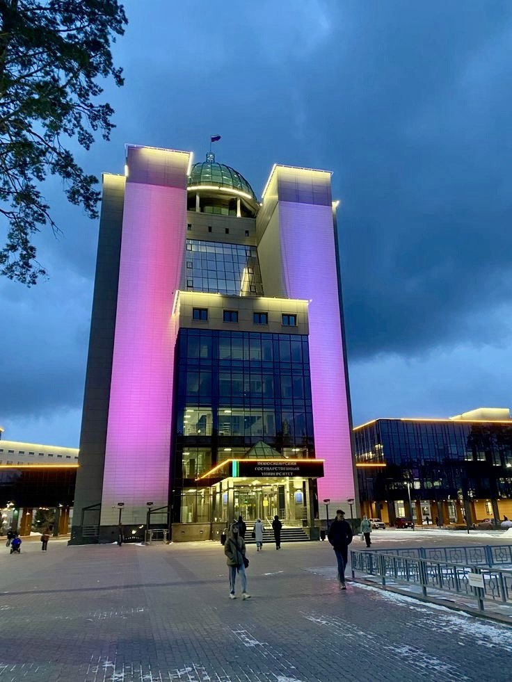 ул. Пирогова, 1, микрорайон Академгородок, Советский район, Новосибирск