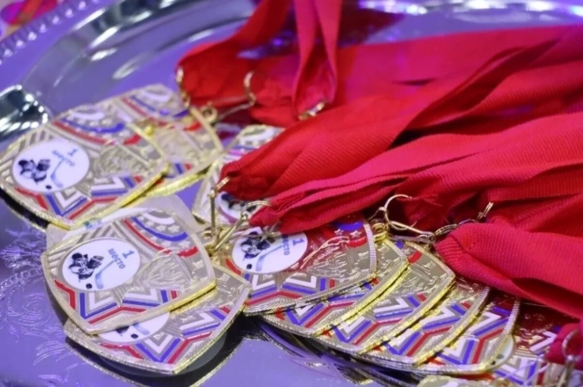    В Туле наградили участников первенства школьной хоккейной лиги 4х4