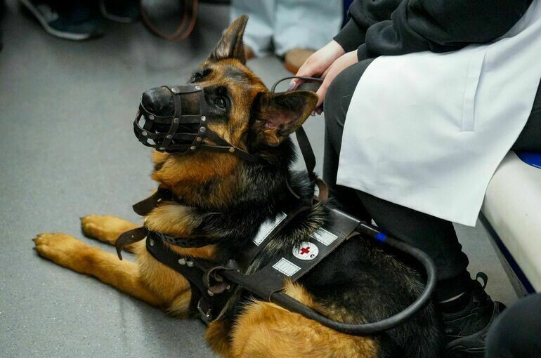   Пелагия Тихонова / АГН Москва