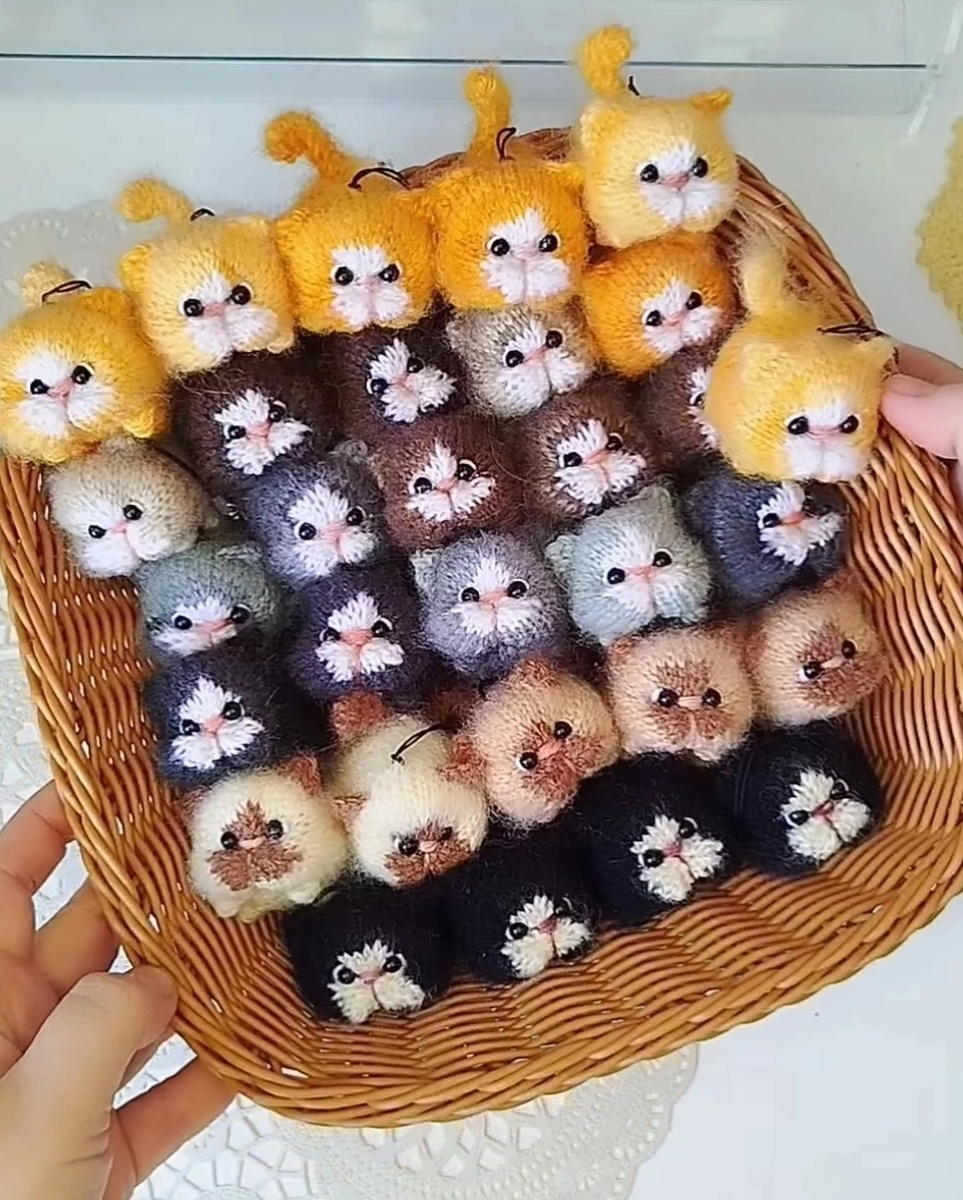 Мои любимые котики Батончики