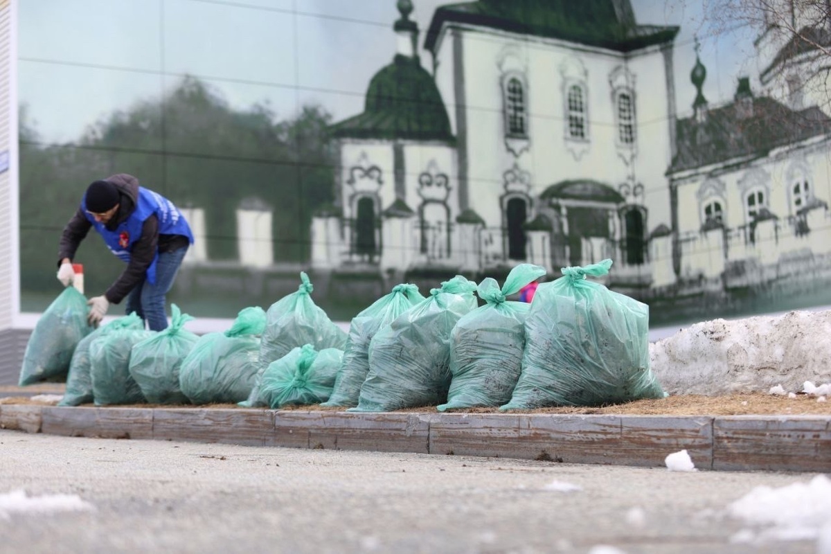    Сургут присоединился к всероссийской неделе субботников