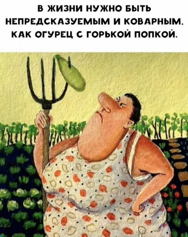 Картинка из интернета