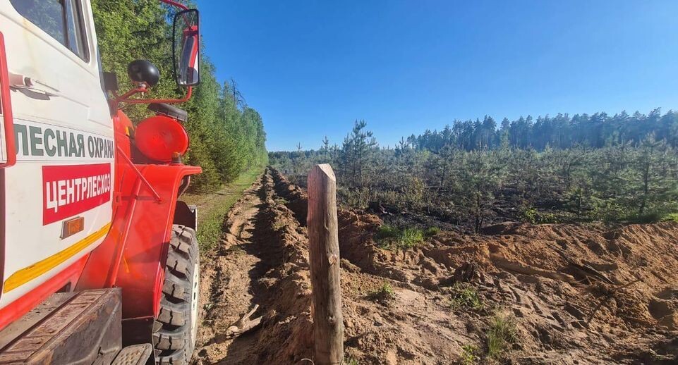    Комитет лесного хозяйства Московской области