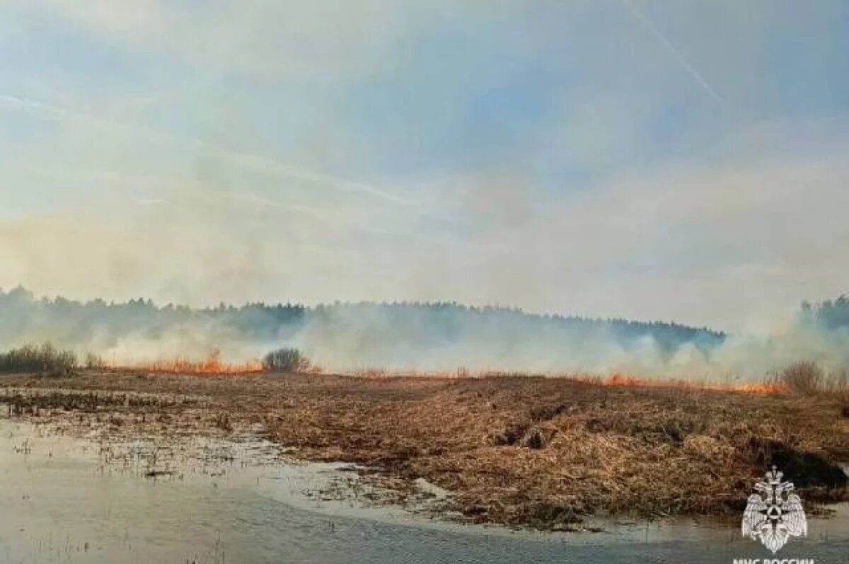    В Тверской области за сутки потушили 8 пожаров