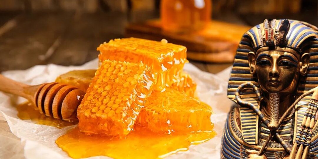 Почему мёд не портится веками — и как природа создала единственную в мире “вечную еду”