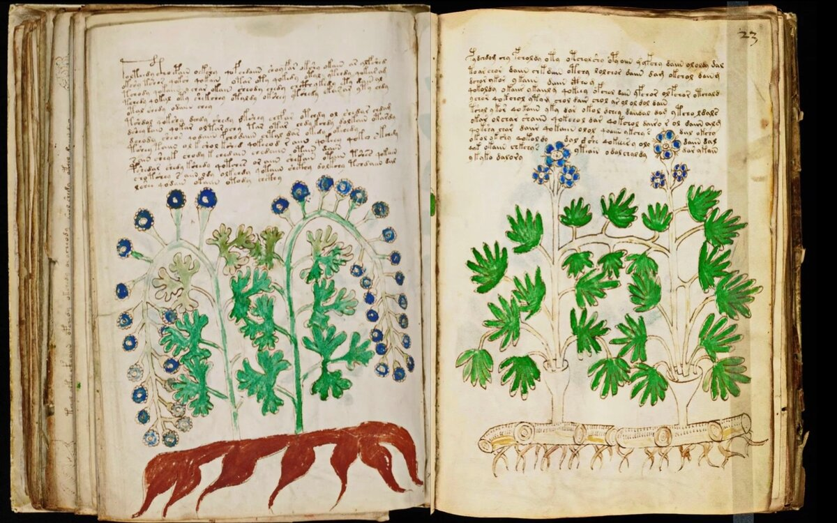 Источник Яндекс картинки.