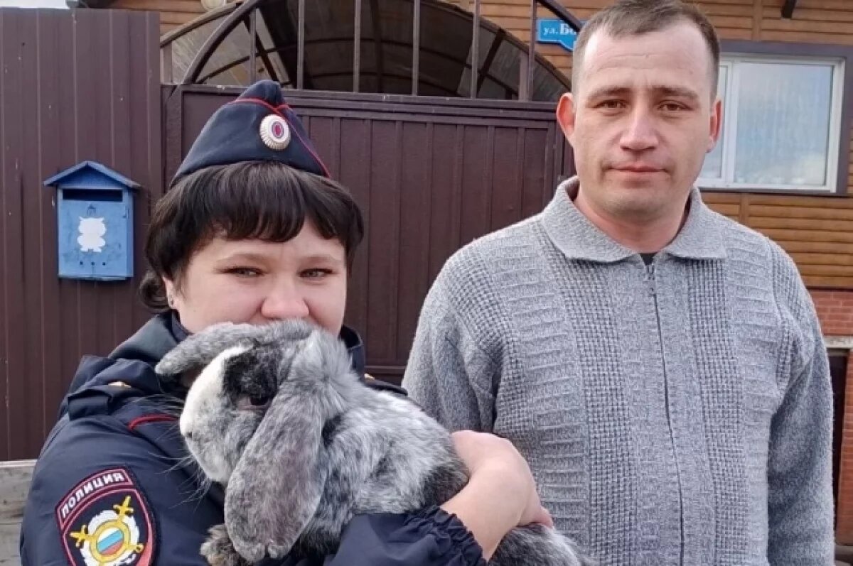    Полицейский из Красноярского края приютила кроликов после ДТП и выходила
