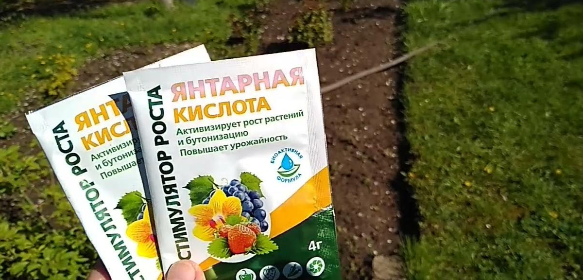 янтарная кислота