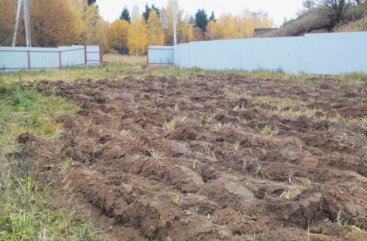 Источник фото: kasheloff.ru