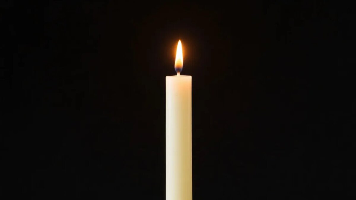    Сгенерировано ИИ