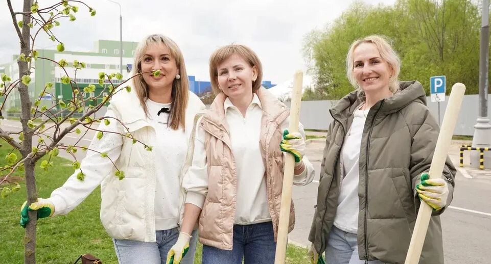    Источник: пресс-служба Министерства по содержанию территорий и государственному жилищному надзору МО