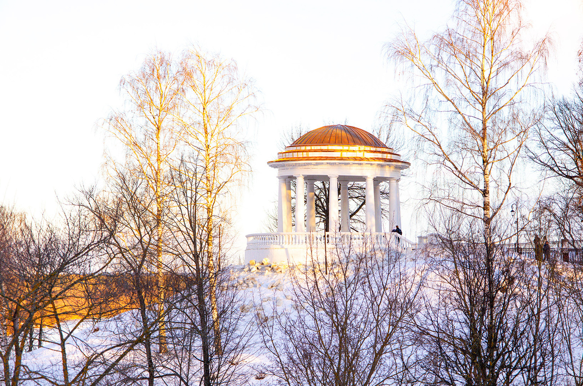    Светлана Парфенова