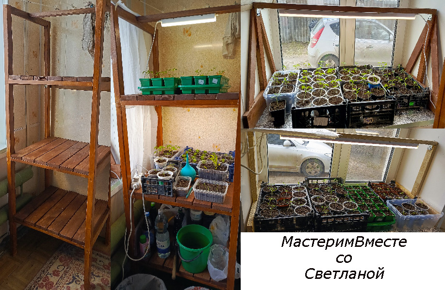 Вот такой у меня стеллаж и два подоконника с рассадой, еще маленькие.