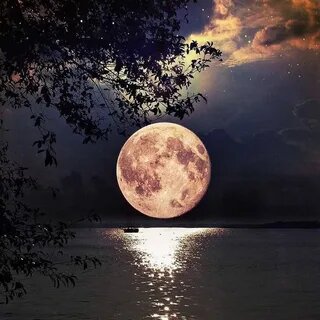 Фото из открытого источника Интернета