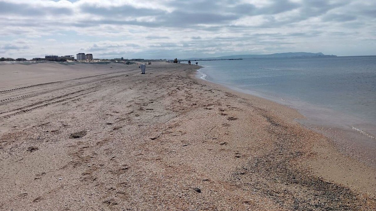    Фото: оперативный штаб Краснодарского края