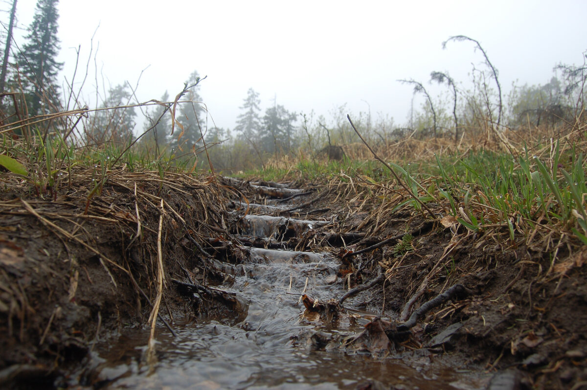 Фото автора © ykarachev.ru Фото и Жизнь и https://lori.ru/Karachev