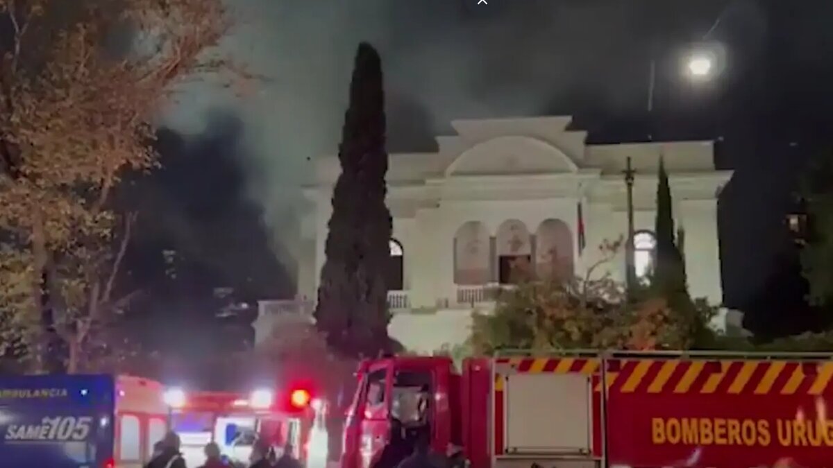    Фото: скриншот видео из соцсетей