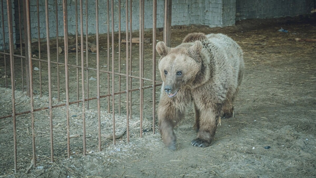     Источник: 1MI