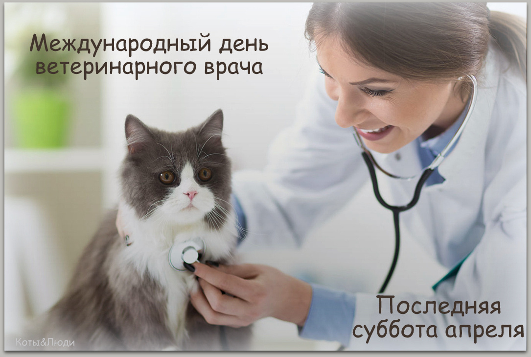 Коллаж автора. 