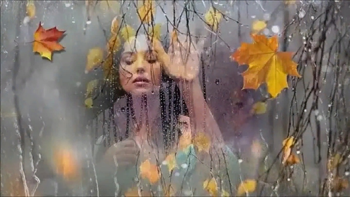 Из открытого доступа