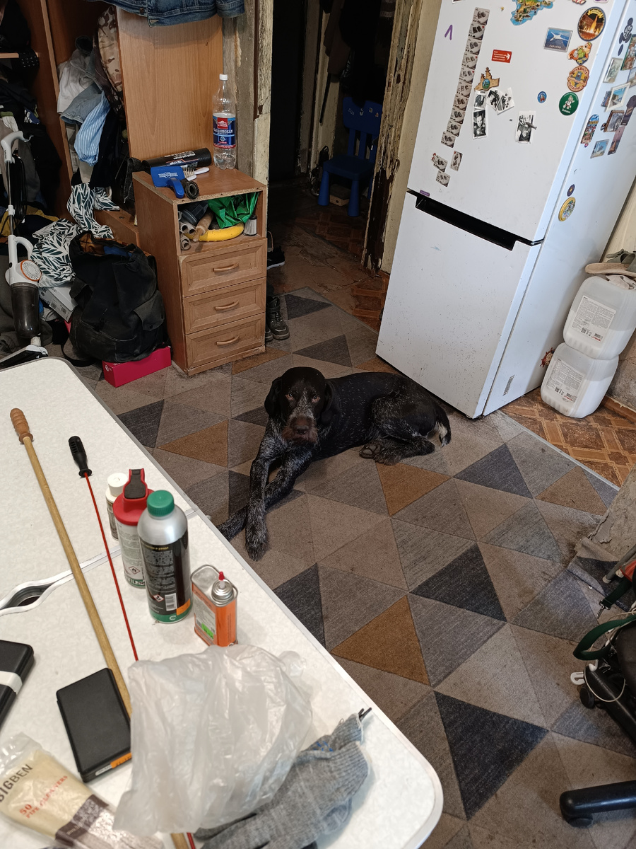 Ну а Дон контролирует! Ещё-бы, оружие из сейфа достали! А вдруг на охоту пойдут?! И без него??? Нельзя этого пропустить и допустить!