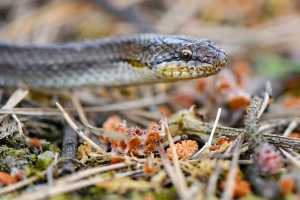 Фото: dpa/picture-alliance