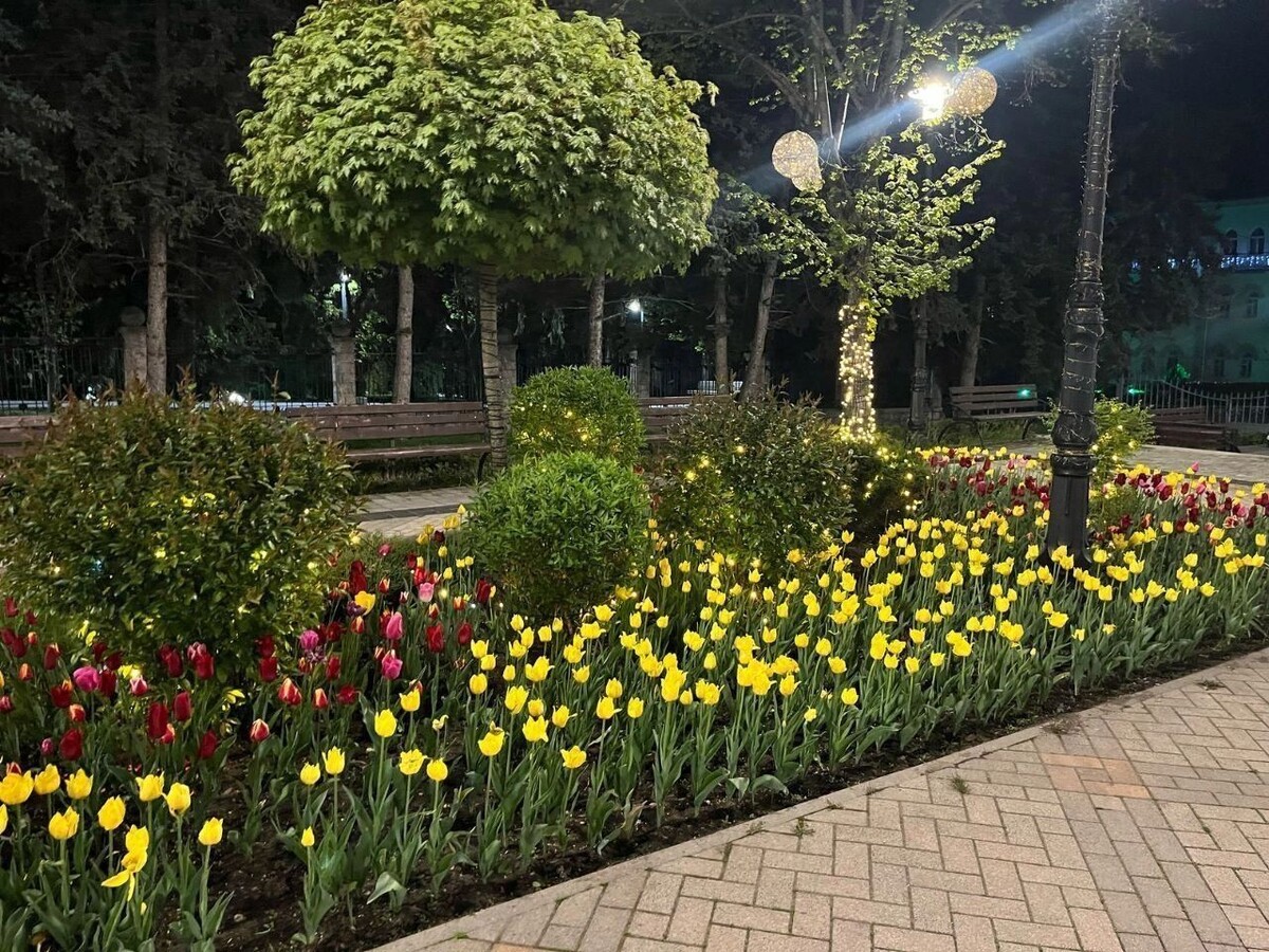     Источник: Телеграм-канал Владимира Крутникова