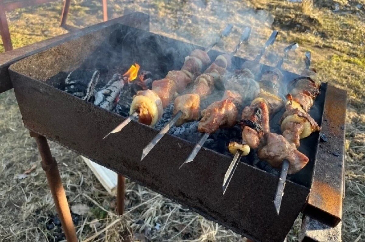    Стала известна стоимость шашлыка этой весной на Кубани