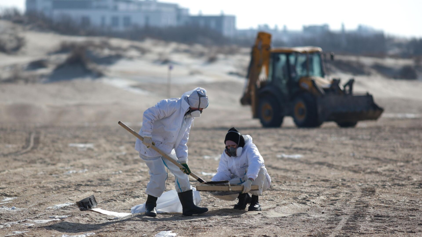   РИА Новости