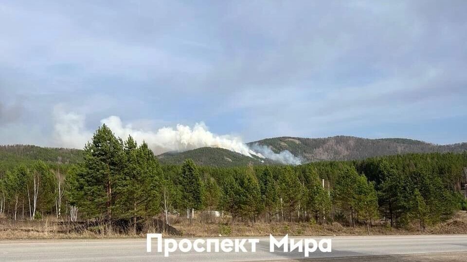     Источник: prmira.ru