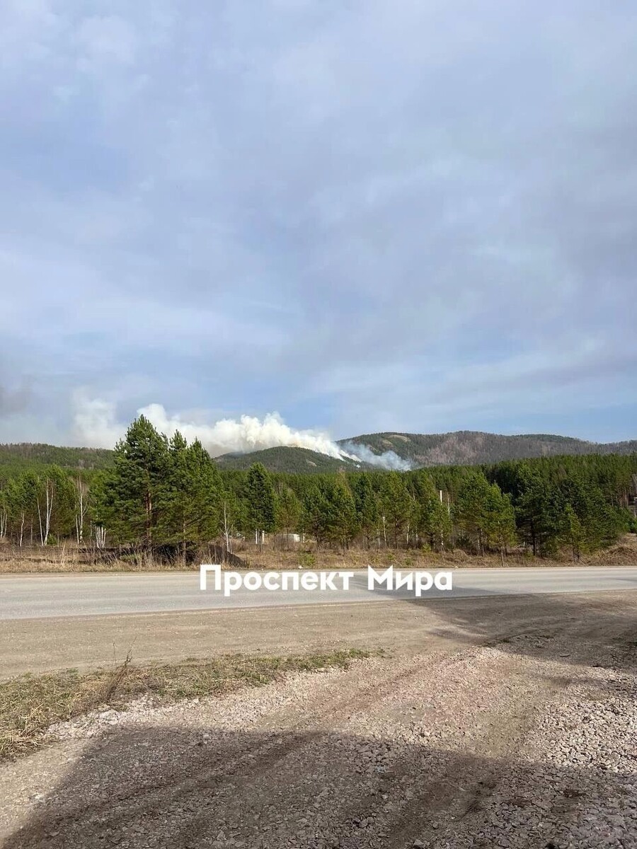     Источник: prmira.ru