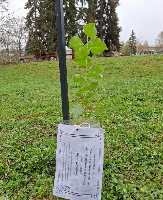  Фото: пресс-служба администрации Ижевска