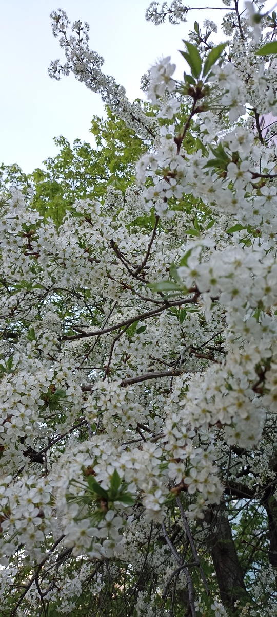 Как же это красиво