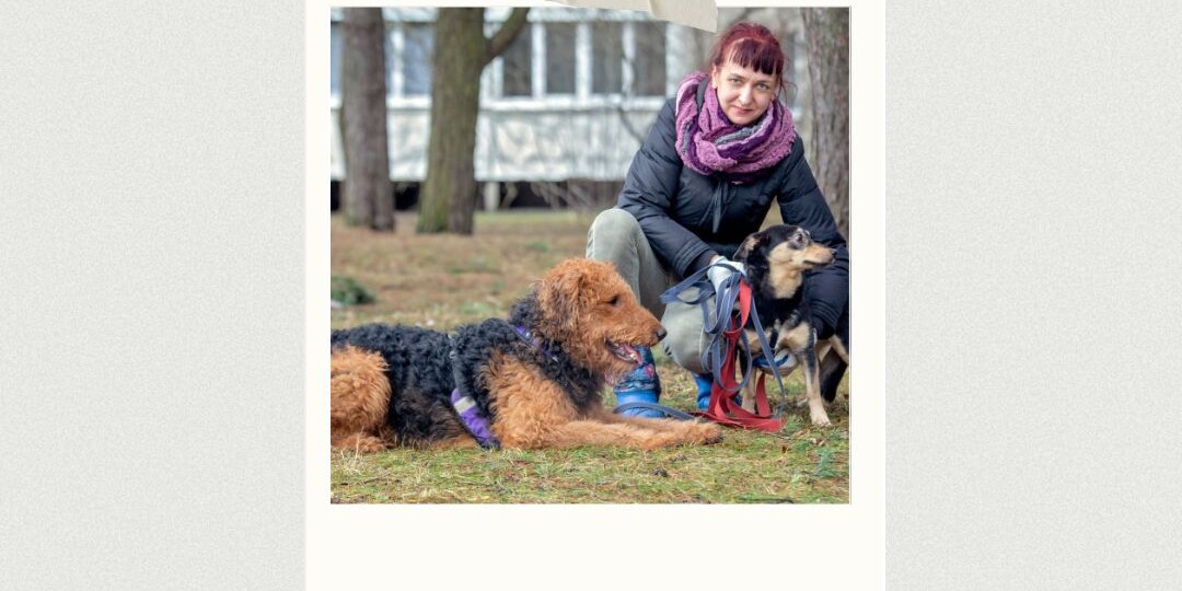 Возводить НЕнорму в норму