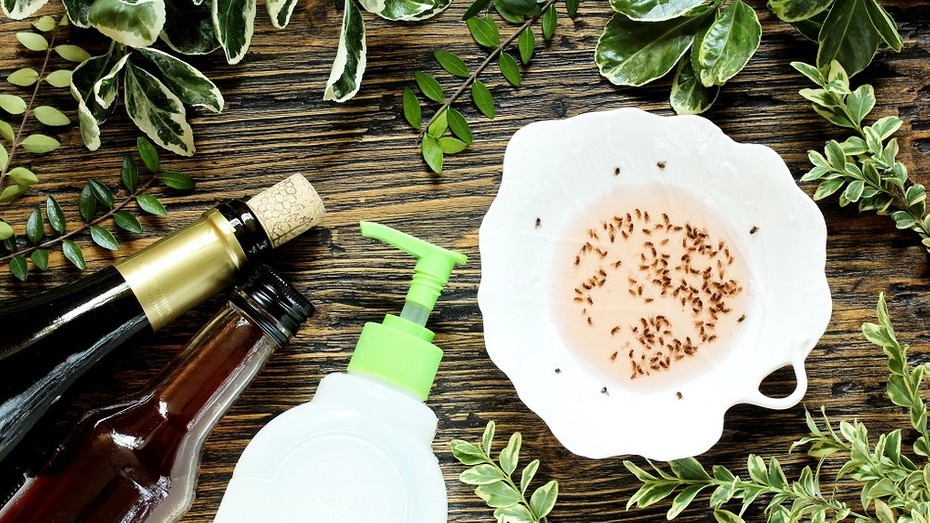 Фото здесь и далее ShutterStock/Fotodom.ru