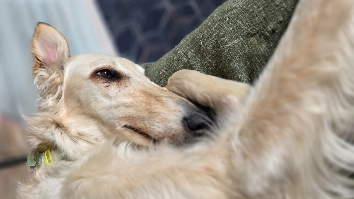 Марья из Белгорода