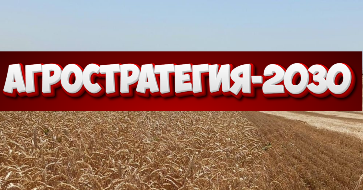 Агростратегия-2030: амбициозные планы или нереальные цели?