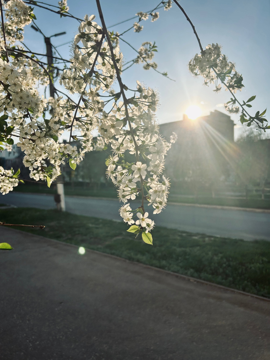 Фотография автора канала.
