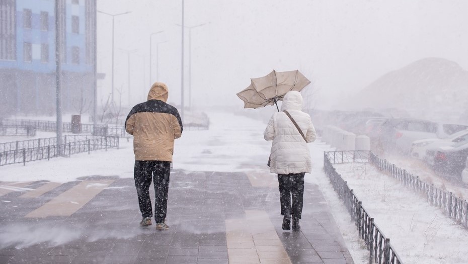   Прохожие на намыве Васильевского острова в Петербурге в ветреную и снежную погоду. Автор фото: Сергей Ермохин / "Деловой Петербург"