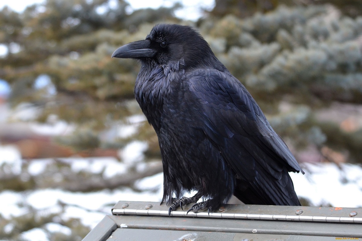 #мужскиеслезы #психологическаяразгрузка #мужскаяболь #перестаньтерпеть #мужскойпсихолог