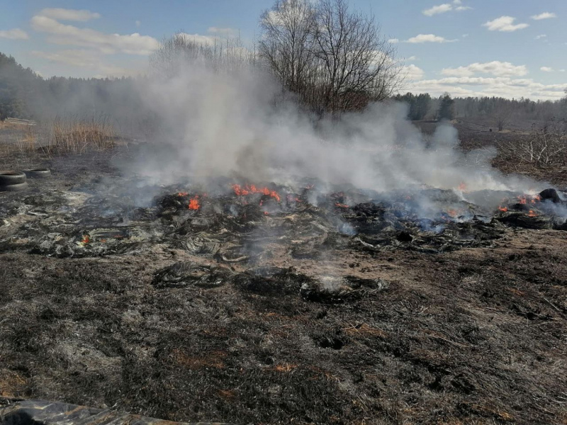    Сухая трава вспыхнула в районе Карелии Госкомитет Карелии по обеспечению жизнедеятельности и безопасности населения