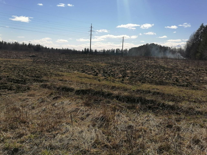    Сухая трава вспыхнула в районе Карелии Госкомитет Карелии по обеспечению жизнедеятельности и безопасности населения